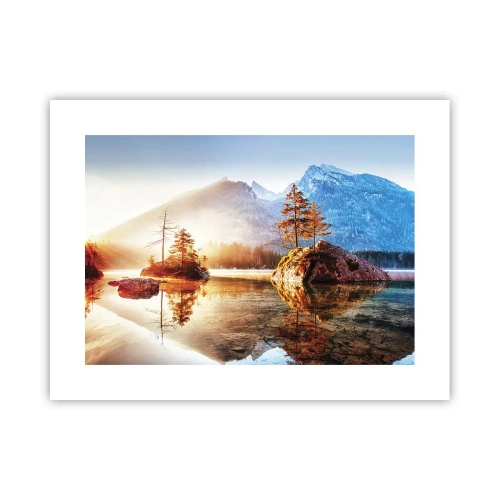 Poster - De natuur in een nieuw licht - 40x30 cm