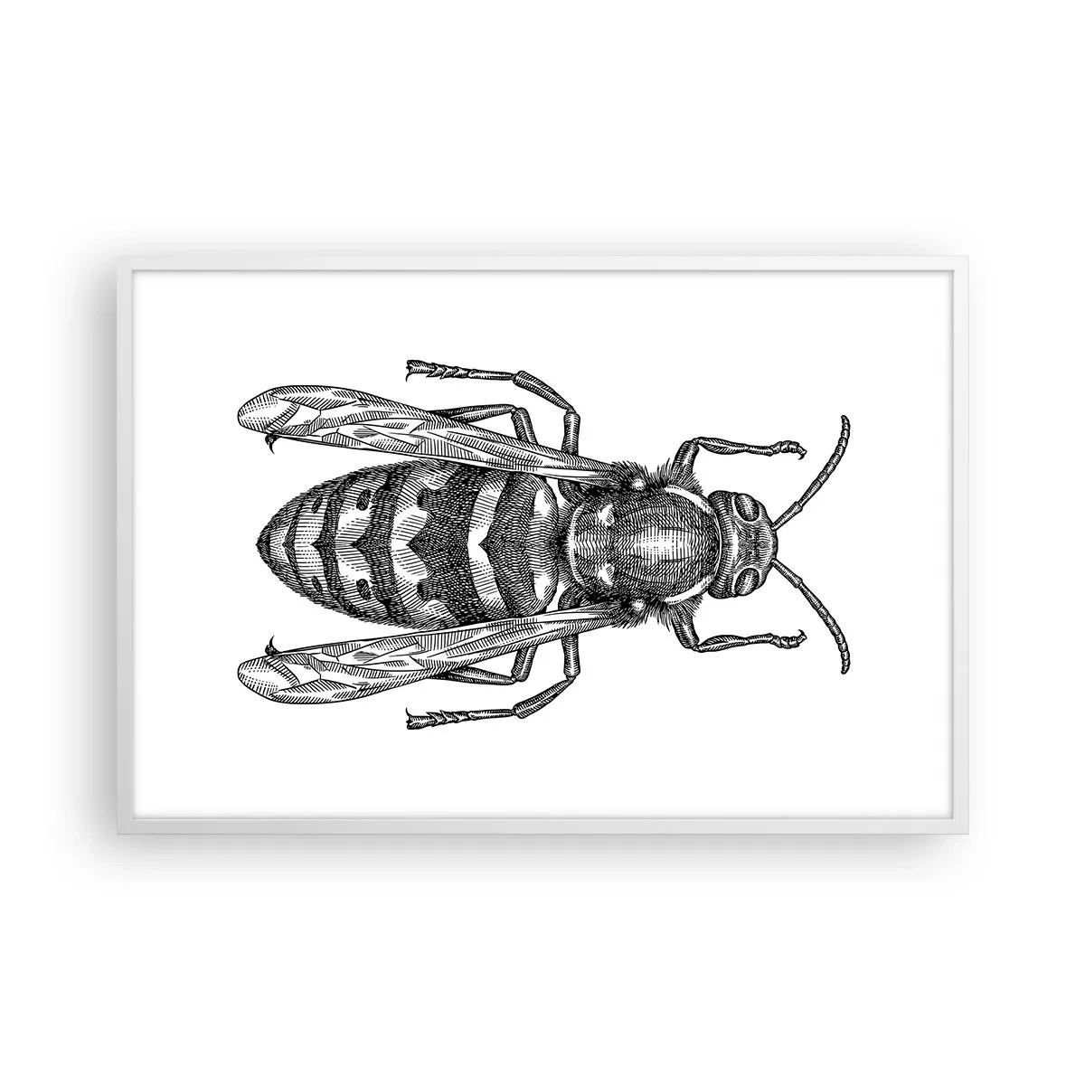 Poster in een witte lijst - Van een insectenplaneet - 91x61 cm