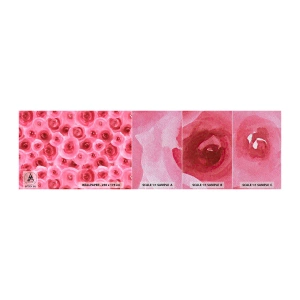 Fotobehang Monster Premium Sand - Rozen onder en boven - Bloemen, Schoonheid, Romantiek - 100x30 cm
