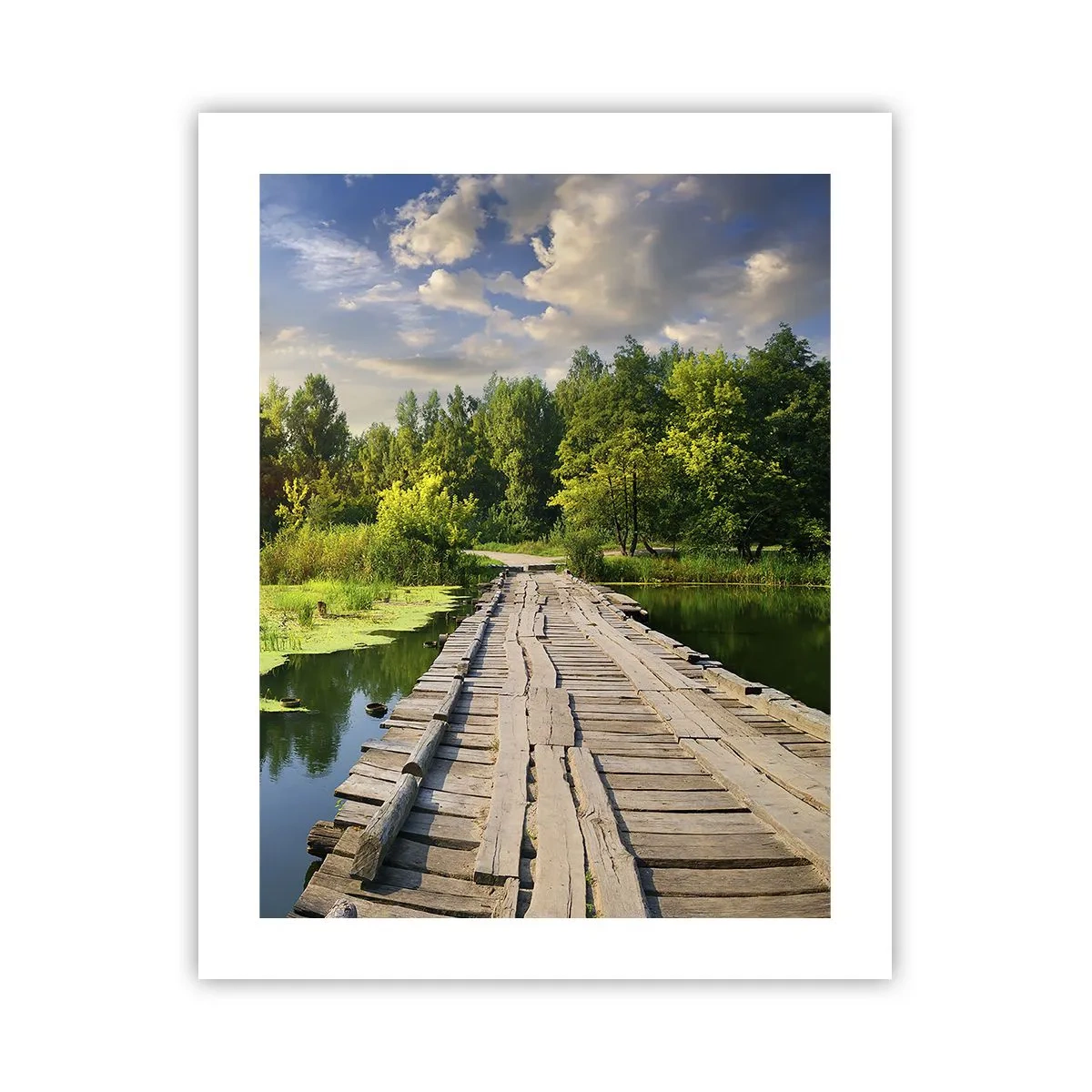 Poster - Zomer, zomer overal - 40x50 cm