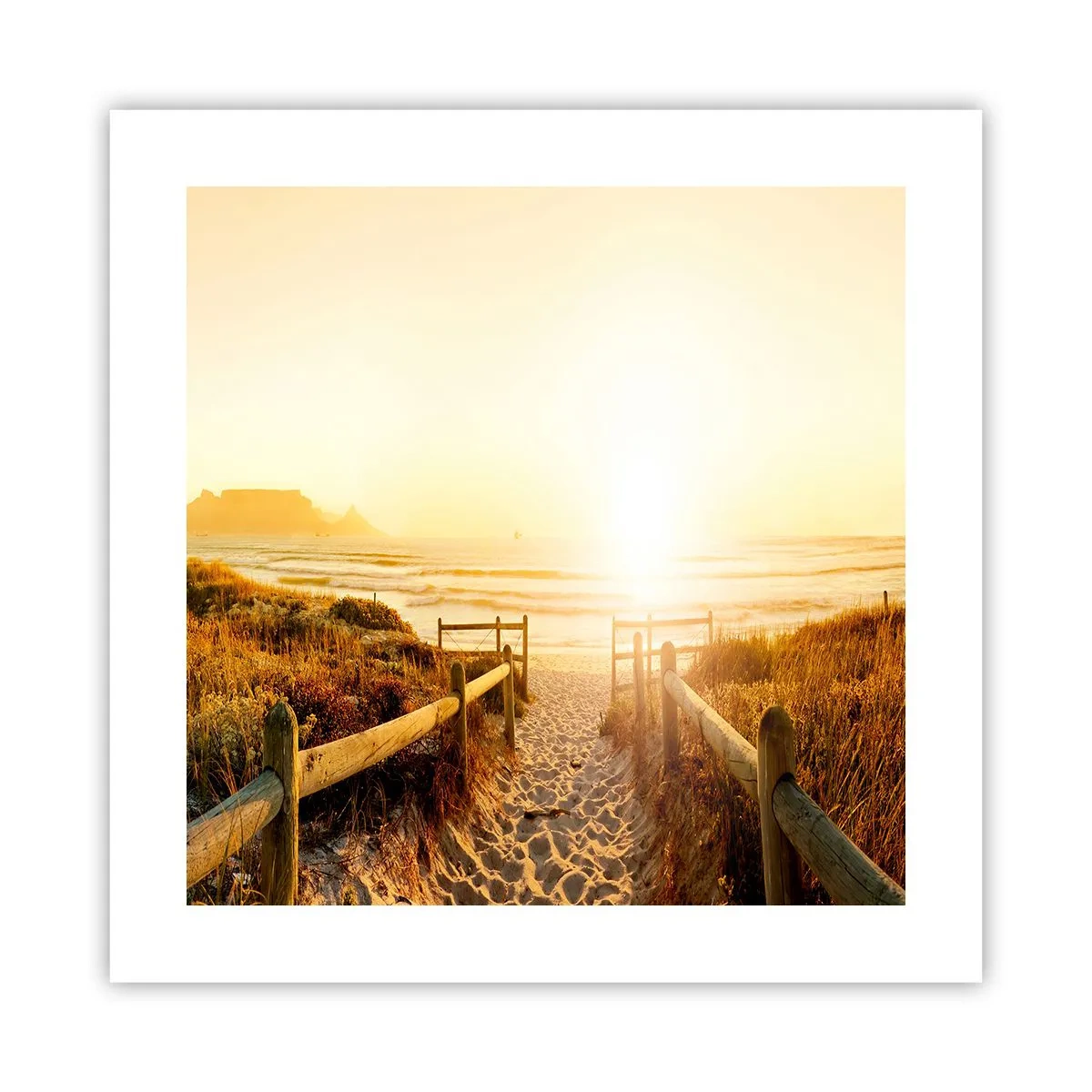 Poster - Over het duin, richting de zon - 40x40 cm