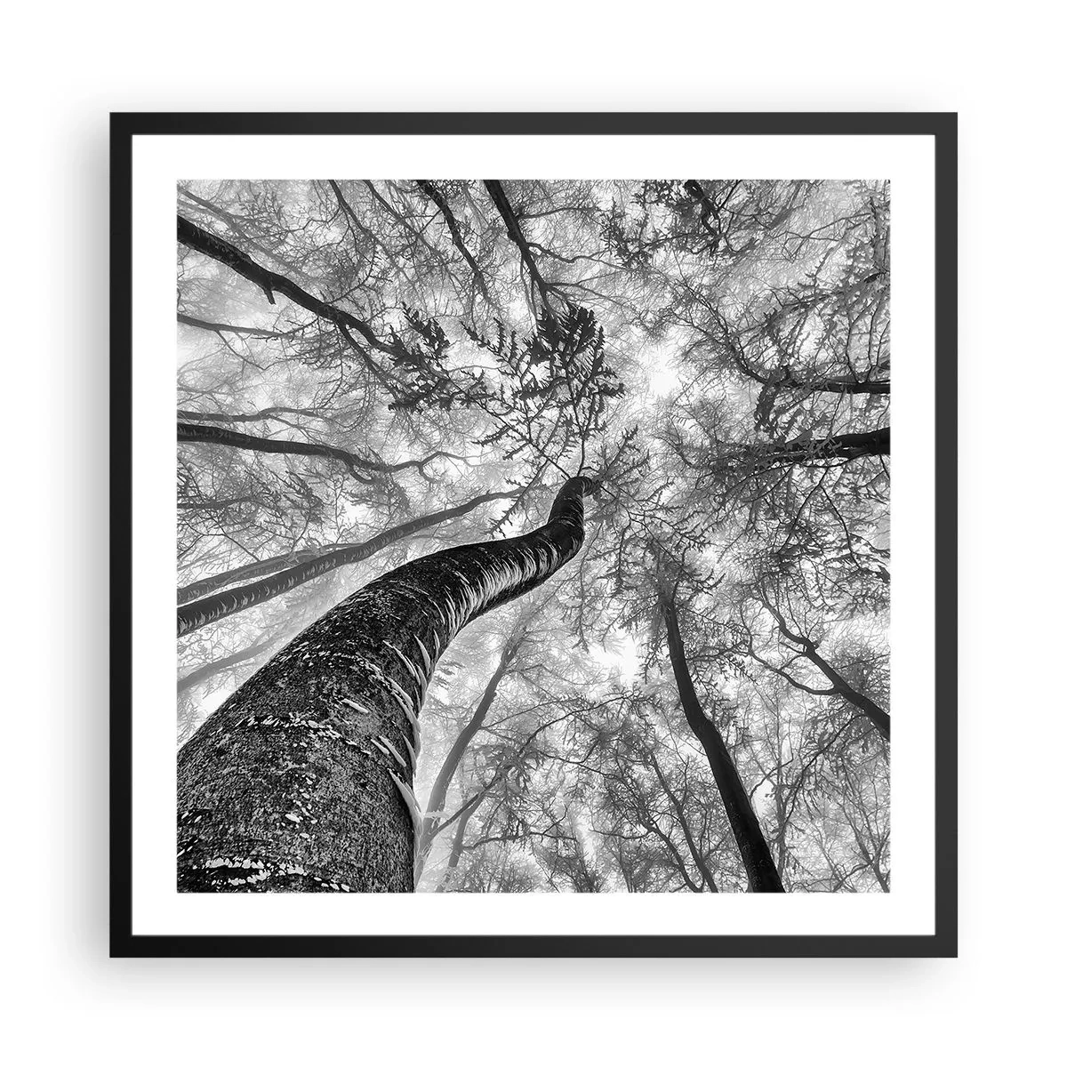 Poster in een zwarte lijst - Race naar het licht - 60x60 cm