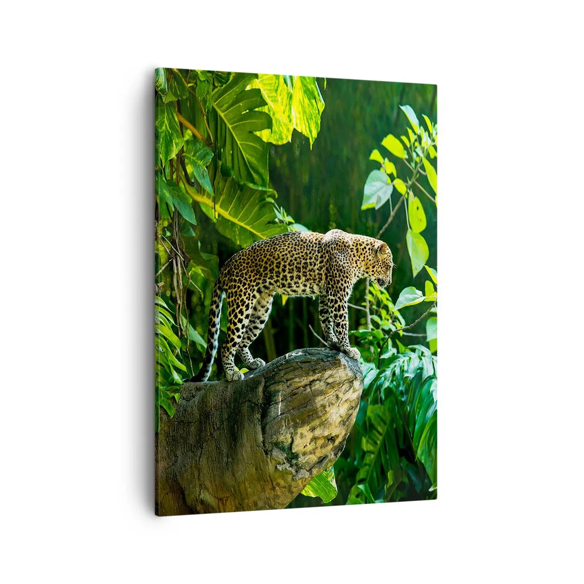 Schilderen op canvas - Op jacht? - 50x70 cm