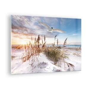 Schilderen op glas - Een vogel vliegt over de duinen bij zonsondergang - 70x50cm - Wind uit zee - Moderne wanddecoratie voor woonkamer en slaapkamer ARTTOR