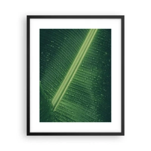 Poster in een zwarte lijst - De structuur van groen - 40x50 cm