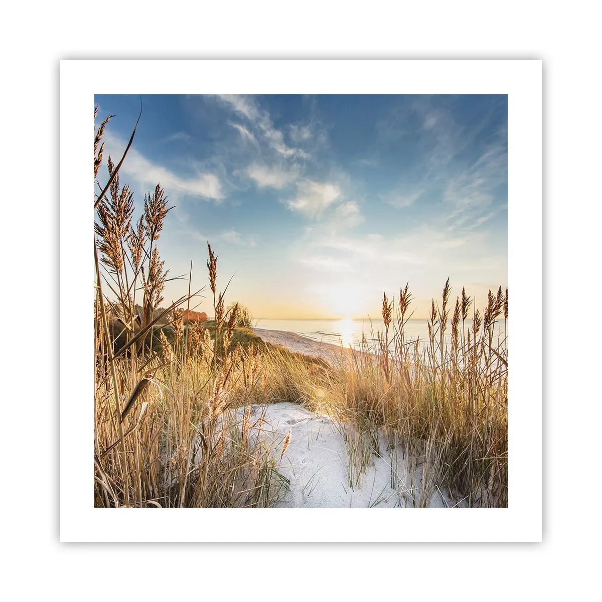 Poster - Noord strand - 50x50 cm