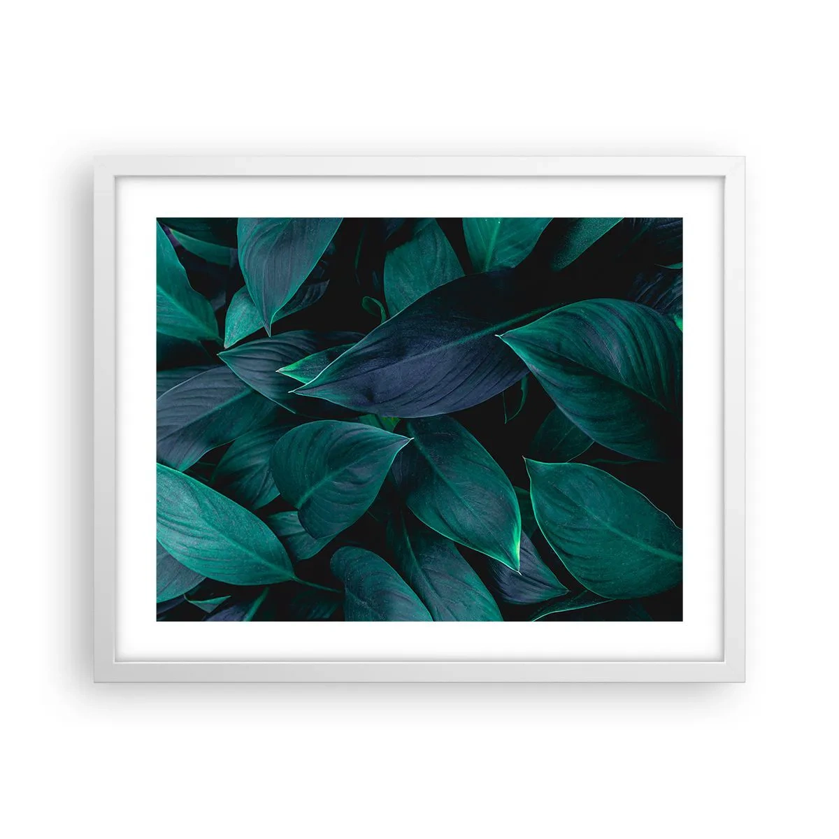 Poster in een witte lijst - Groen op zichzelf - 50x40 cm