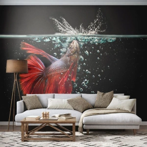 Zelfklevend Fotobehang Deluxe Sticker - Je hebt drie wensen - Abstractie, Aquarium, Vis - 250x175 cm