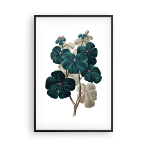 Poster in een zwarte lijst - Uit het oude herbarium - 61x91 cm