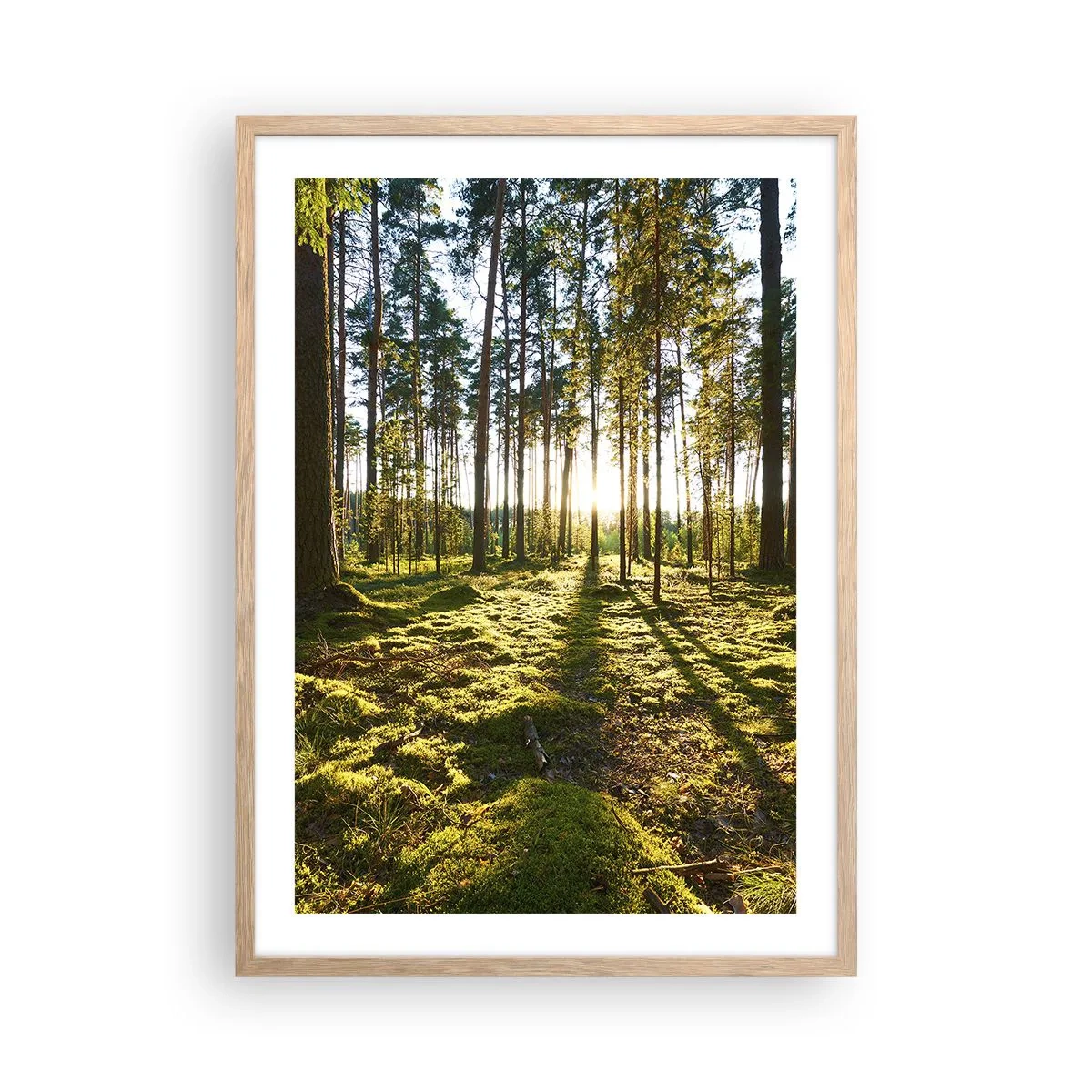 Een poster in een licht eiken lijst - … Achter de zeven bossen - 50x70 cm