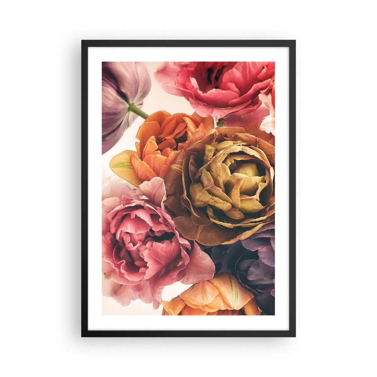 Poster in een zwarte lijst - Kleurrijke pioenrozen in een artistieke benadering - 50x70cm - Een viering van het leven - Moderne wanddecoratie voor woonkamer en slaapkamer ARTTOR