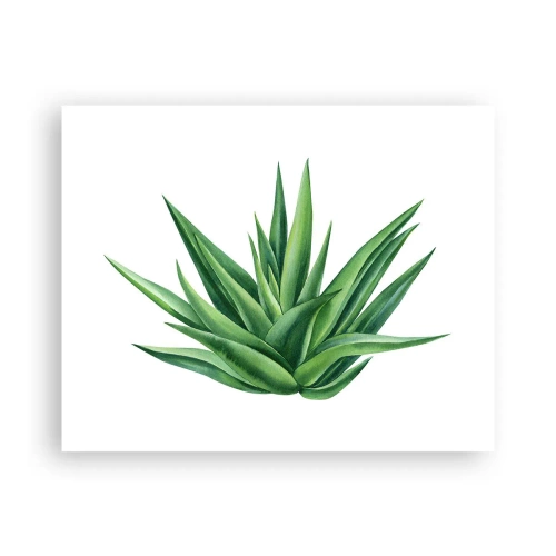 Poster - Groen – kracht – leven - 50x40 cm