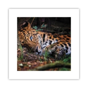 Poster - Geloof me - 30x30 cm