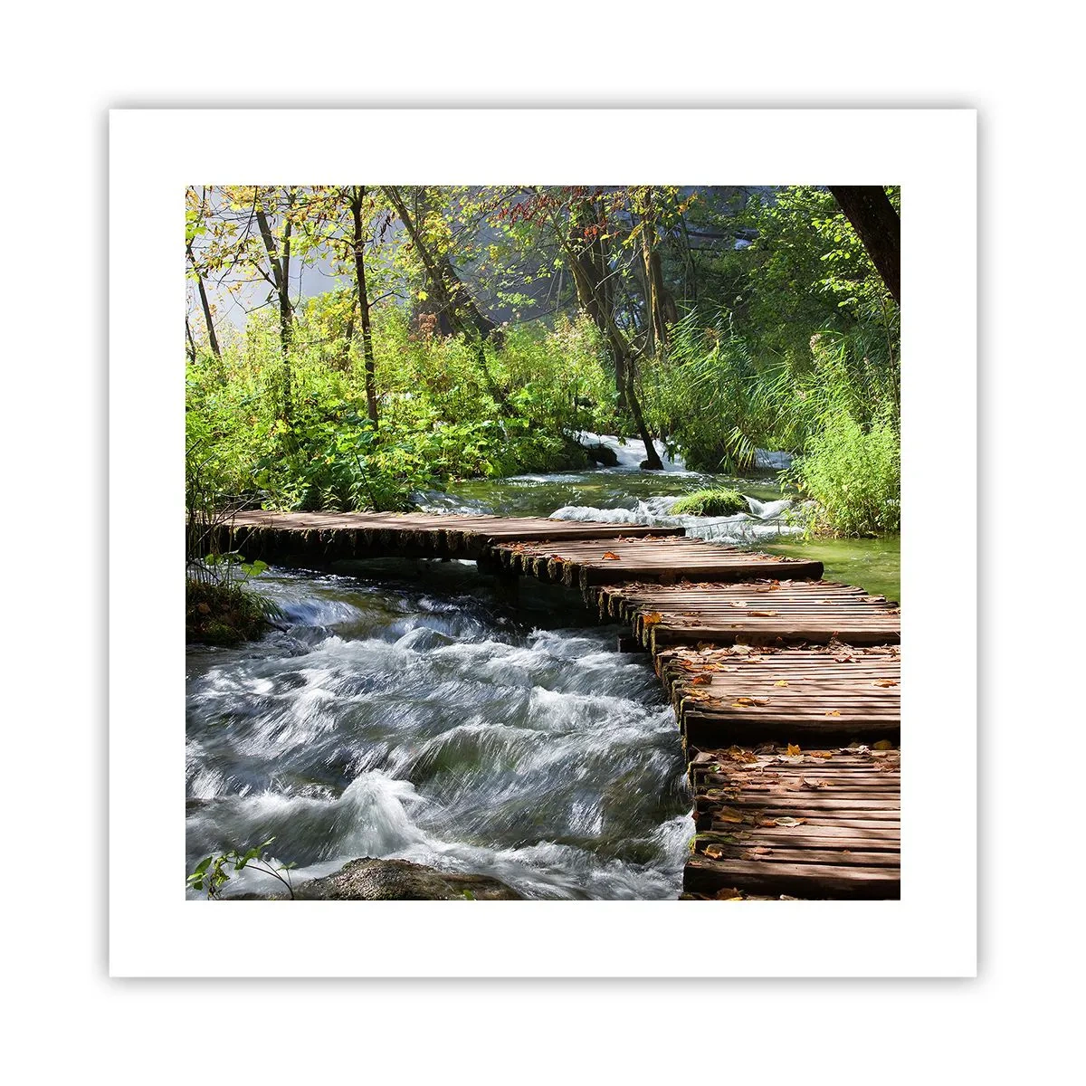 Poster - Boven de schuimige waterval - 40x40 cm