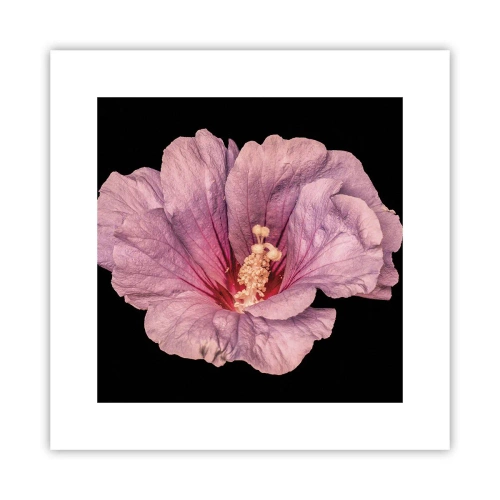 Poster - Recht in het hart - 30x30 cm