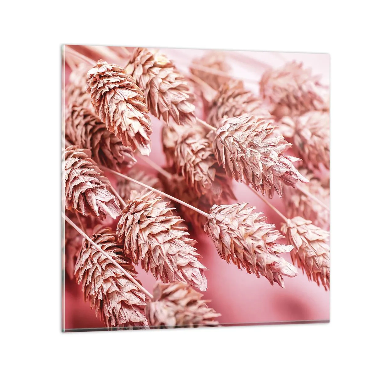 Schilderen op glas - Een bloemencascade in roze - 70x70 cm
