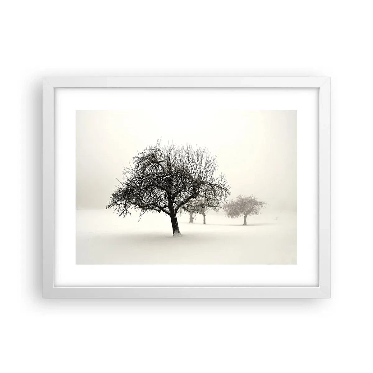 Poster in een witte lijst - Winterslaap - 40x30 cm