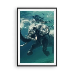 Poster in een zwarte lijst - Iedereen houdt van zwemmen - 61x91 cm