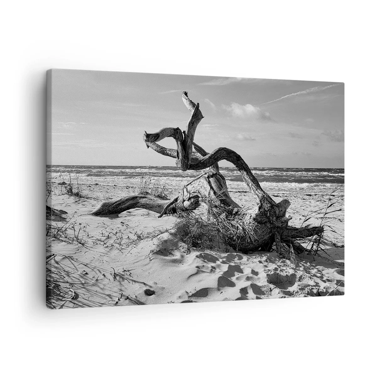 Schilderen op canvas - Zwart-wit landschap met een dode boom op het strand - 70x50cm - Zee sculptuur - Moderne wanddecoratie voor woonkamer en slaapkamer ARTTOR