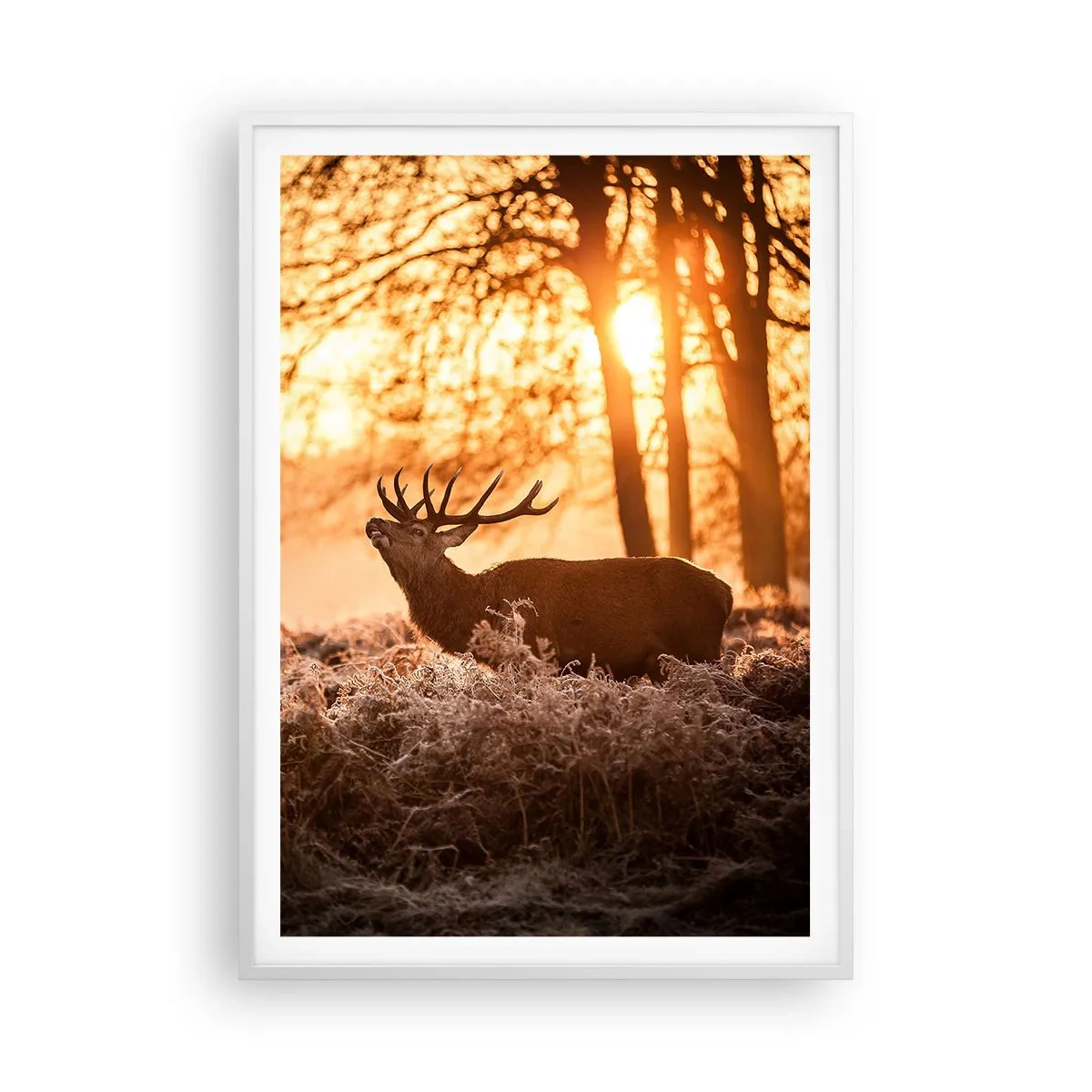 Poster in een witte lijst - De droom van een jager - 70x100 cm