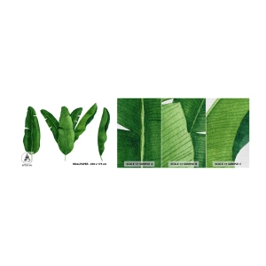 Fotobehang Monster Premium Canvas - Groene symmetrie - Bananenblad, Tropisch, Botanische stijl - 100x30 cm