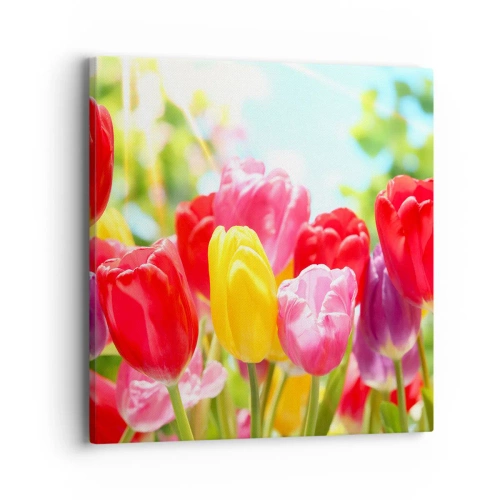 Schilderen op canvas - Dat zijn wij, de kleuren van mei! - 40x40 cm