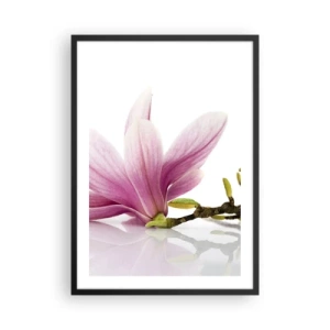 Poster in een zwarte lijst - Roze magnoliabloem op een tak met een witte achtergrond - 50x70cm - Delicaat als een lentebriesje - Moderne wanddecoratie voor woonkamer en slaapkamer ARTTOR
