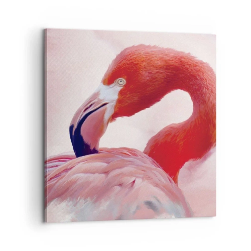Schilderen op canvas - Vogel schoonheid - 60x60 cm