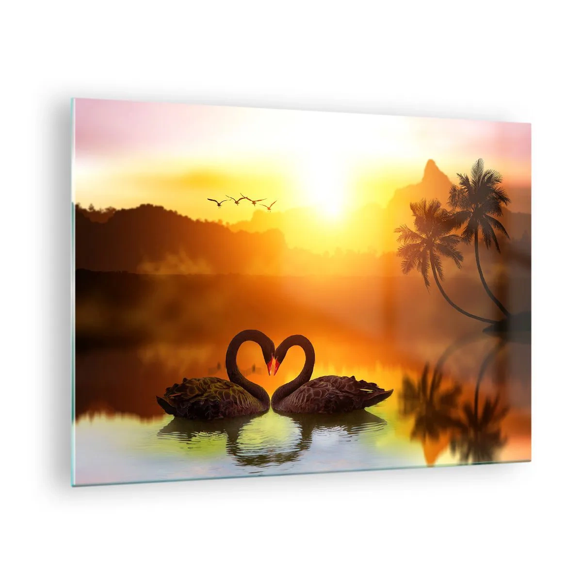 Schilderen op glas - Zwarte zwanen op het meer bij zonsondergang - 70x50cm - Alles gaat samen - Moderne wanddecoratie voor woonkamer en slaapkamer ARTTOR