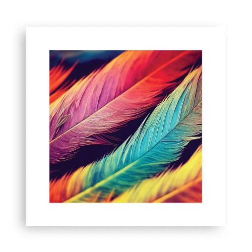 Poster - Gevederde regenboog - 30x30 cm