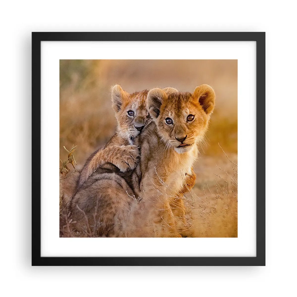 Poster in een zwarte lijst - Niet storen! We hebben plezier - 40x40 cm