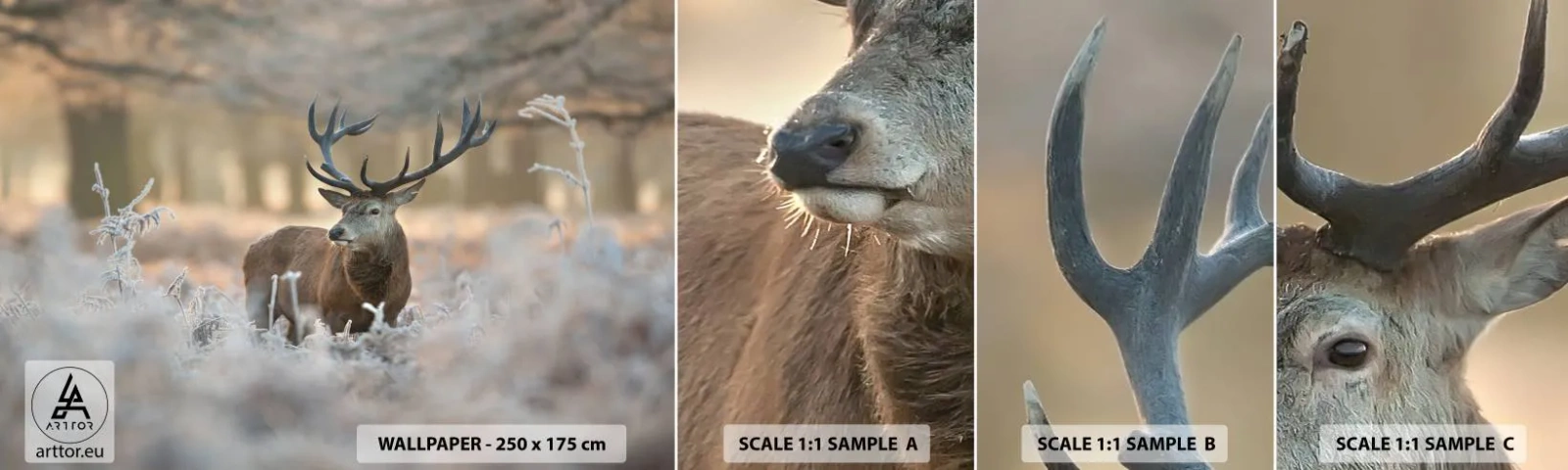 Fotobehang Staaltje Standard Eco - Een frisse ochtend - Landschap, Hert, Dieren - 100x30 cm