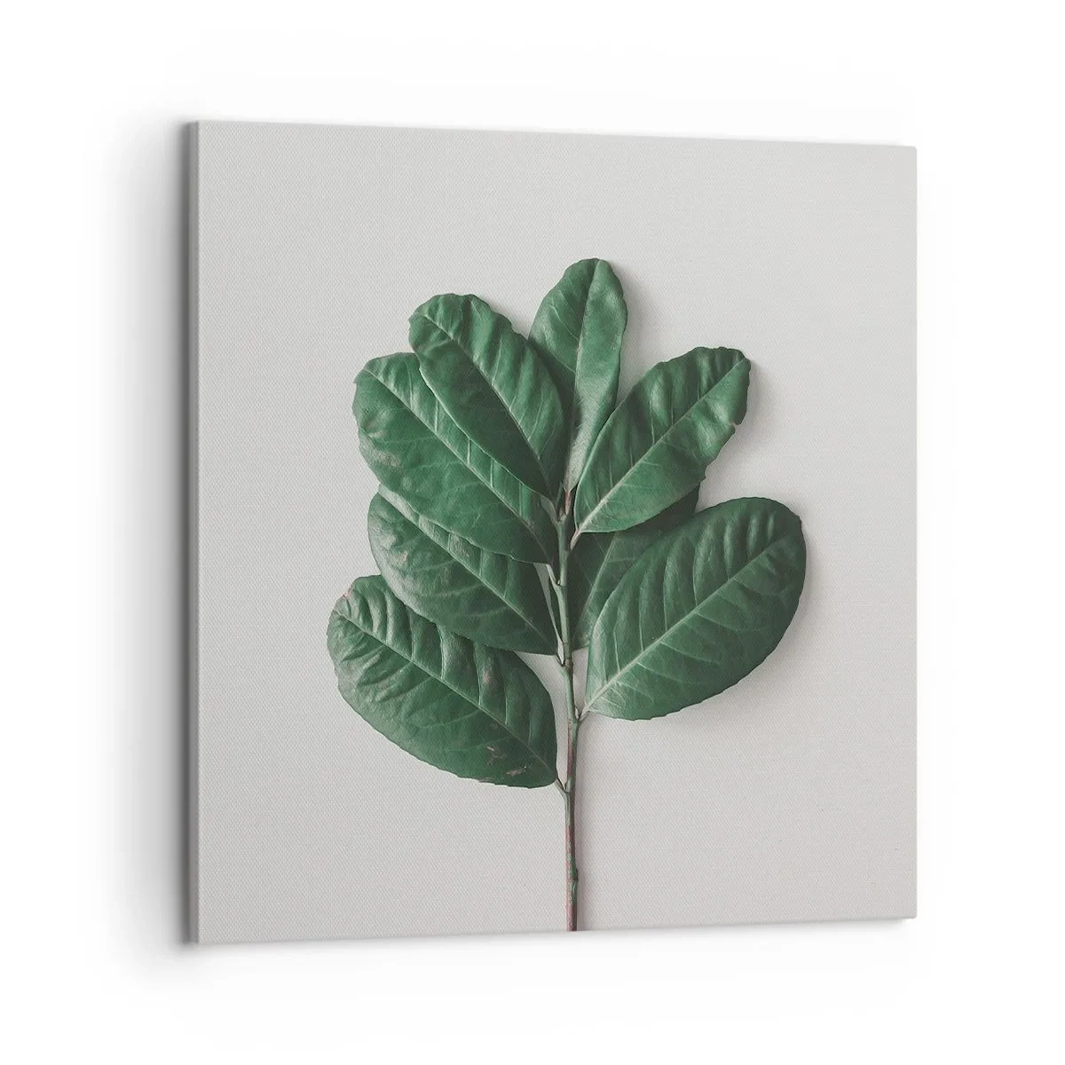 Schilderen op canvas - Een tekening van de pure natuur - 60x60 cm