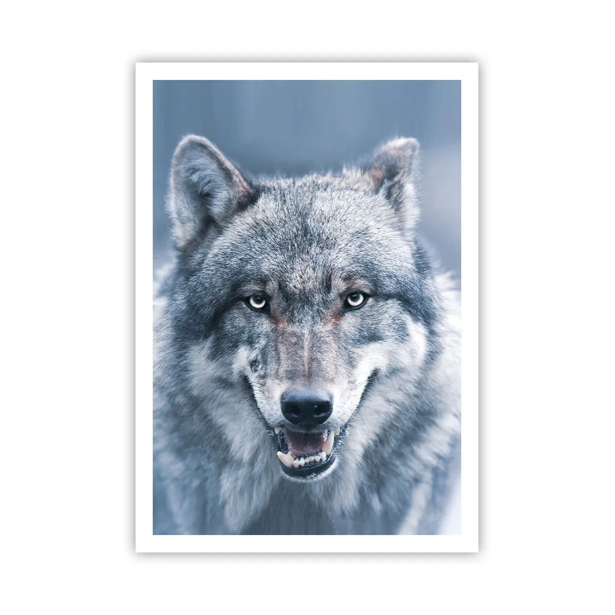 Poster - Ga jij de uitdaging aan? - 70x100 cm