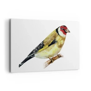 Schilderen op canvas - Vogel portret - 120x80 cm