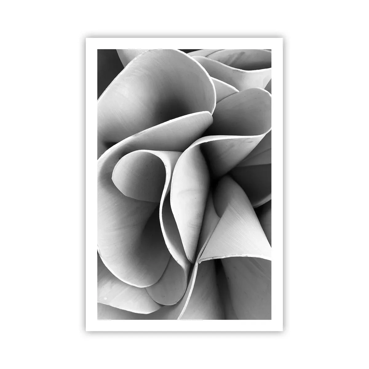 Poster - Het gebeurt in de ruimte - 61x91 cm