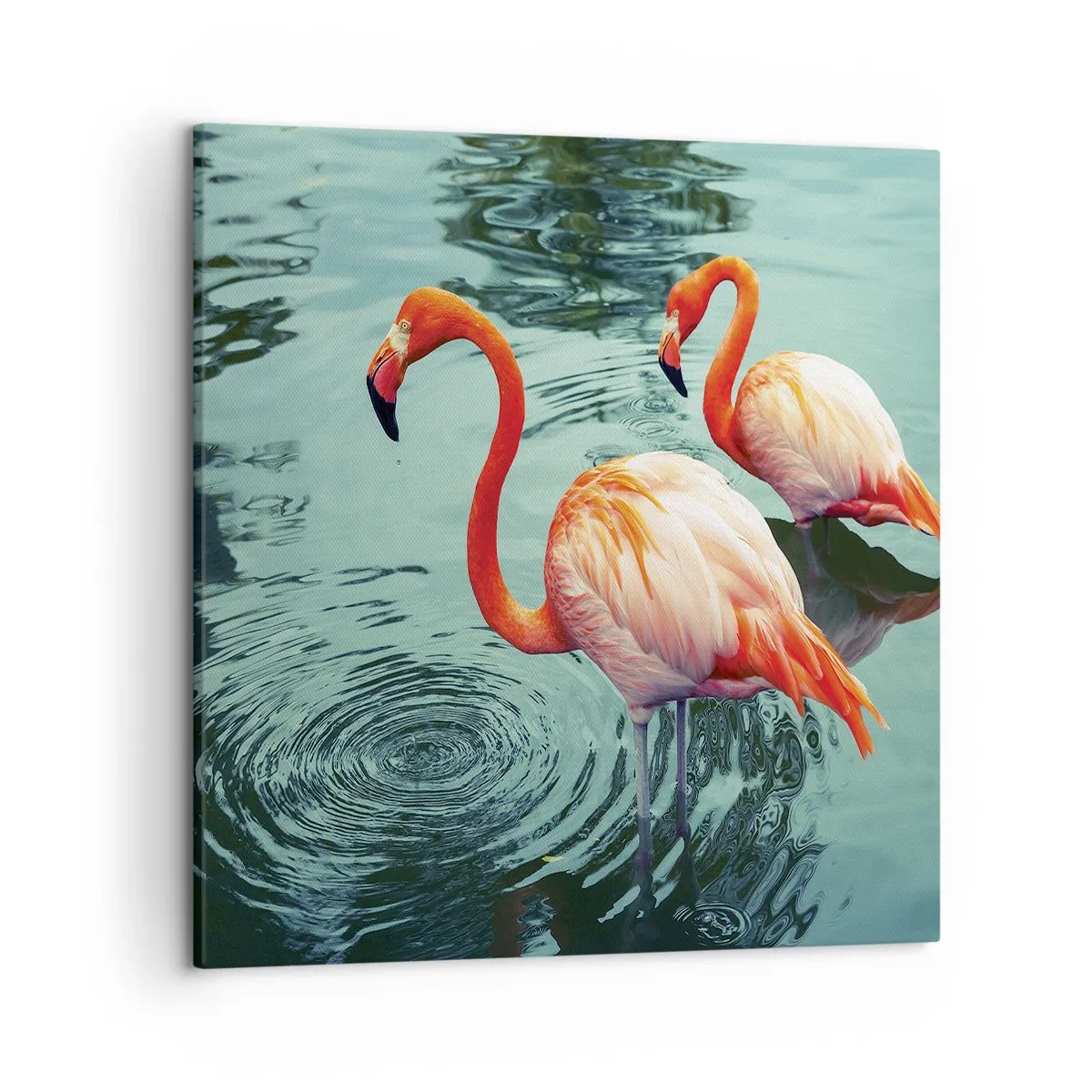 Schilderen op canvas - We zijn nu in de mode - 50x50 cm