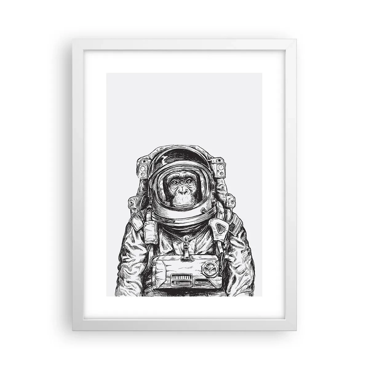 Poster in een witte lijst - Alternatieve evolutie - 30x40 cm