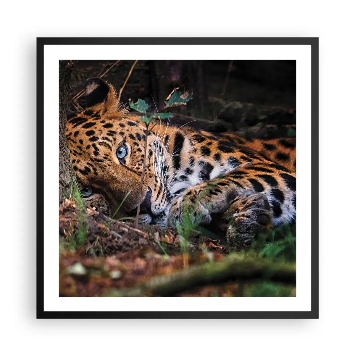 Poster in een zwarte lijst - Geloof me - 60x60 cm