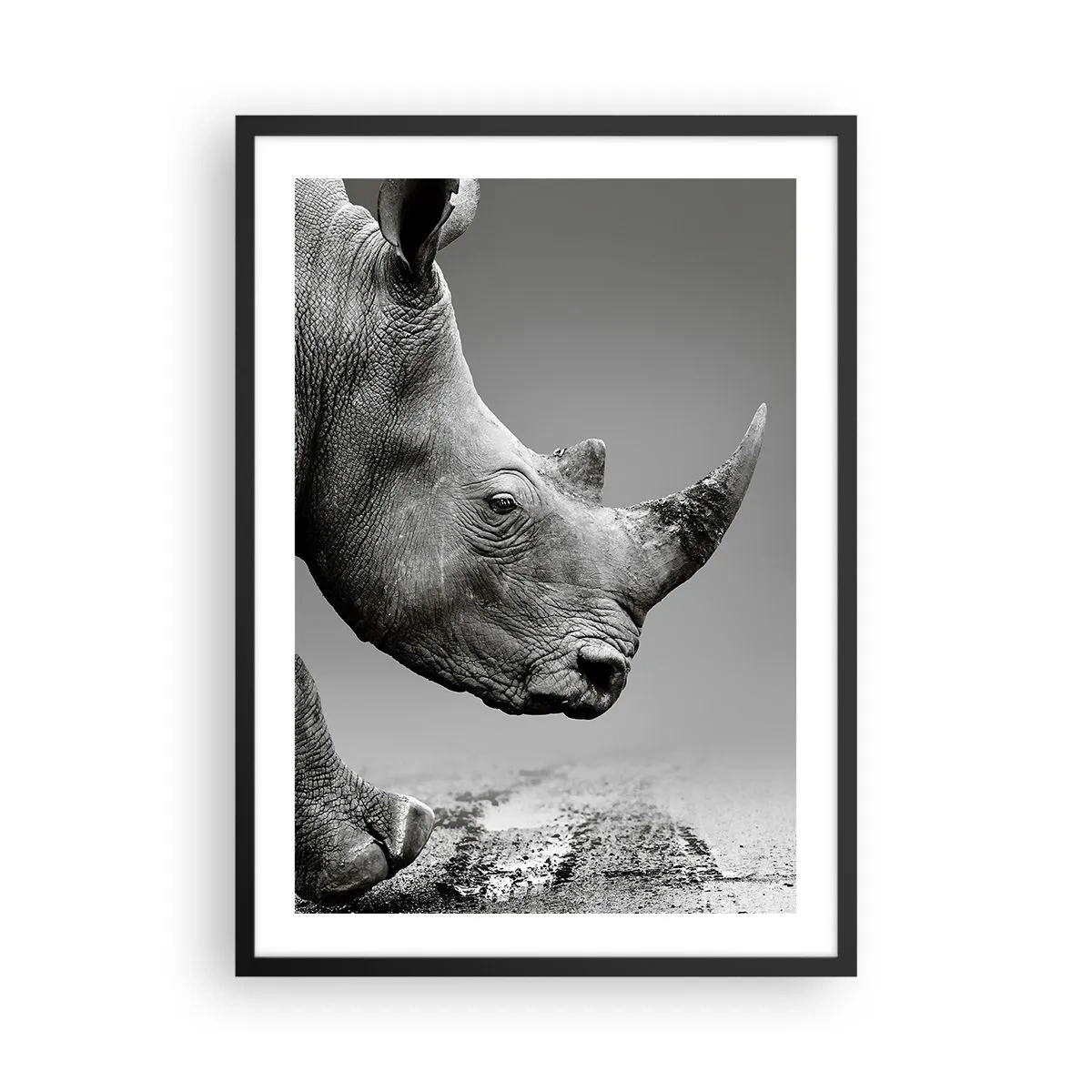 Poster in een zwarte lijst - Zwart-wit close-up van de kop van een neushoorn - 50x70cm - Onstuitbare kracht - Moderne wanddecoratie voor woonkamer en slaapkamer ARTTOR