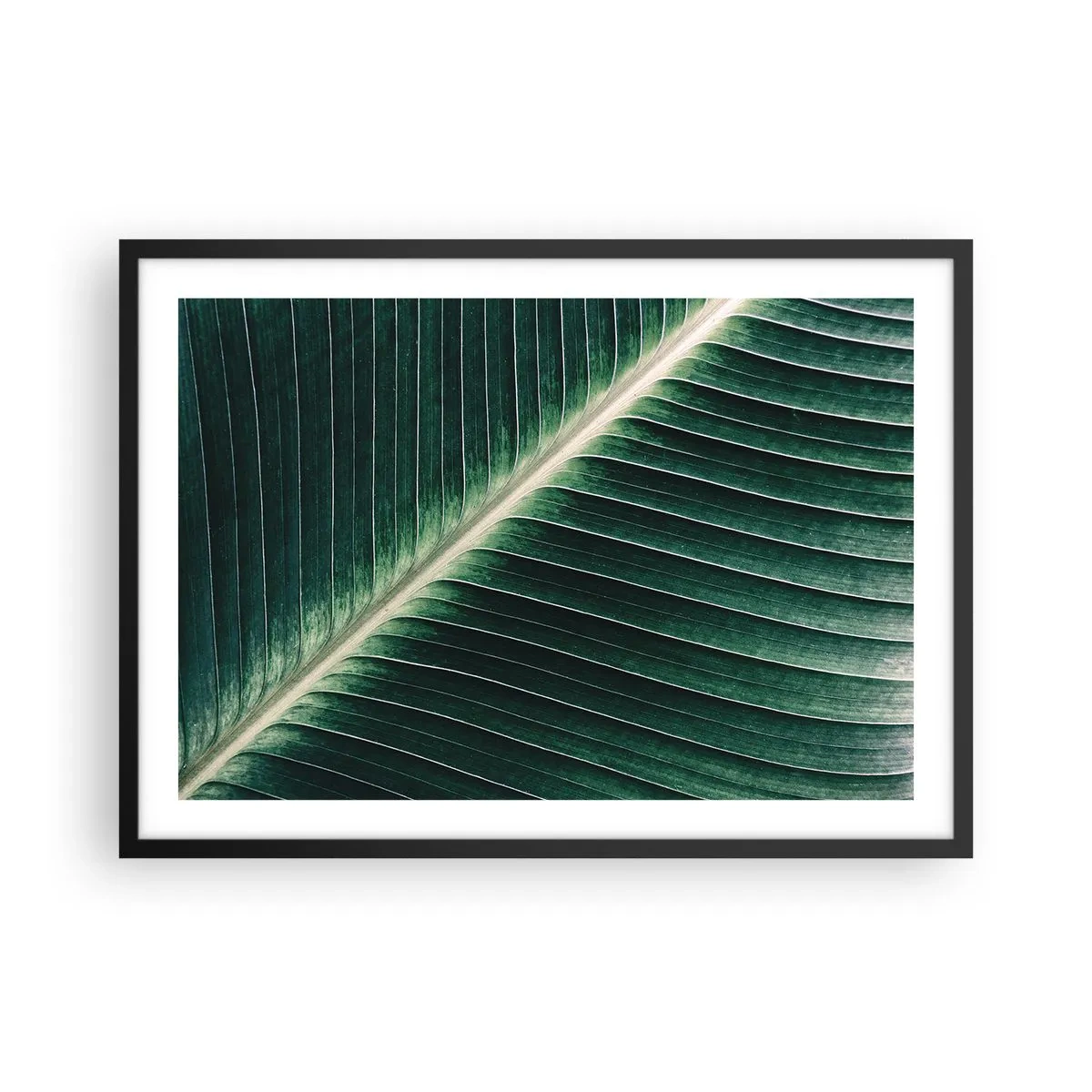 Poster in een zwarte lijst - Het ritme van de natuur - 70x50 cm