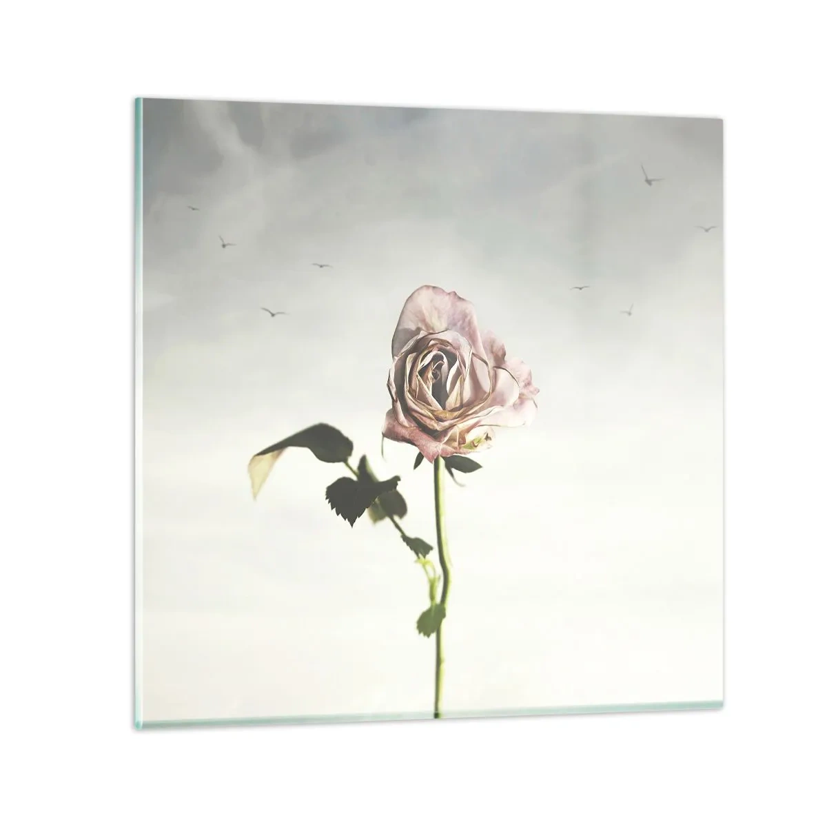 Schilderen op glas - Begroeting van de lente - 50x50 cm