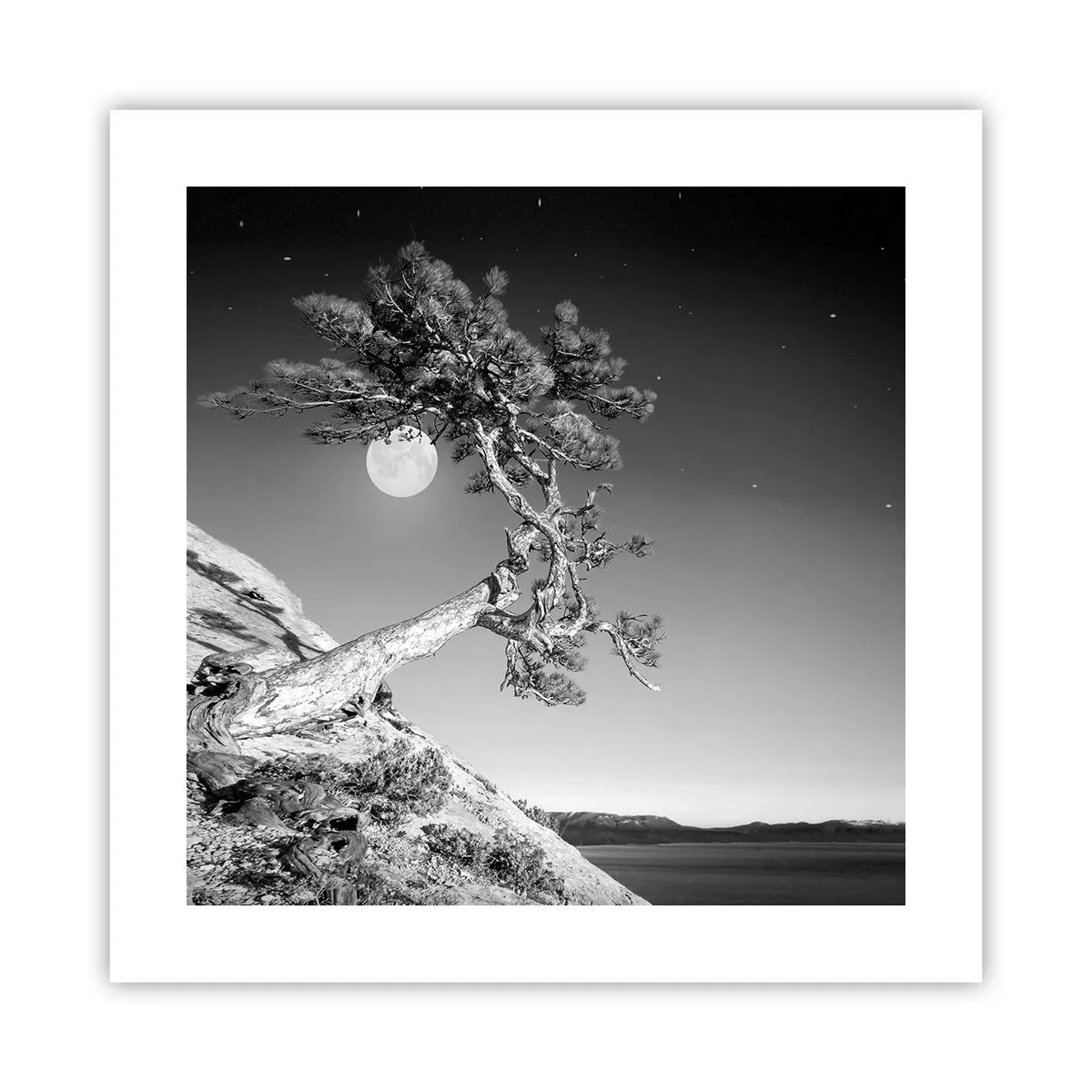 Poster - Een zegevierende jager - 40x40 cm