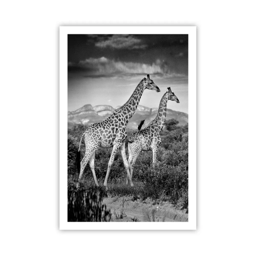 Poster - Hoge sferen in Afrika - 61x91 cm
