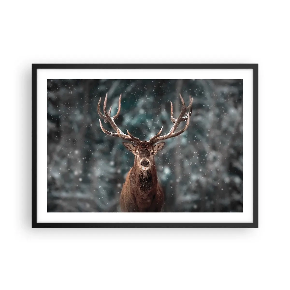 Poster in een zwarte lijst - Gekroond tot koning van het bos - 70x50 cm