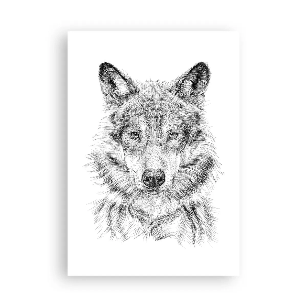 Poster - Een geboren leider - 70x100 cm