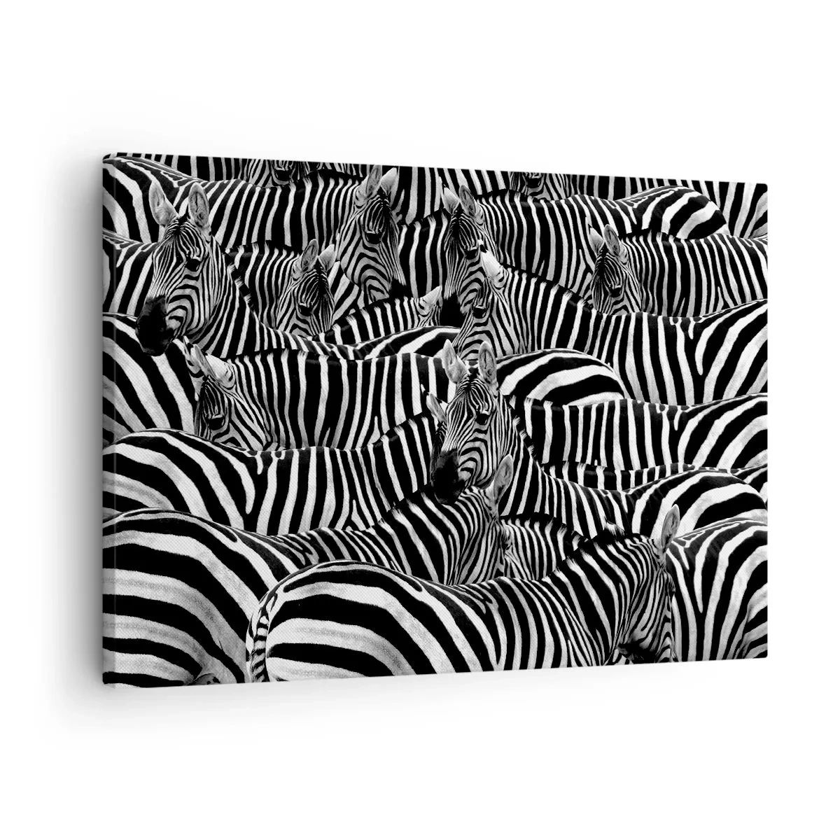 Schilderen op canvas - Groepsportret met strepen - 70x50 cm