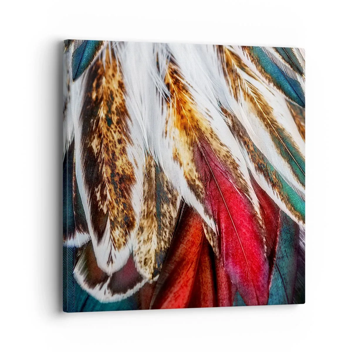 Schilderen op canvas - Geheimen van de vlucht - 40x40 cm