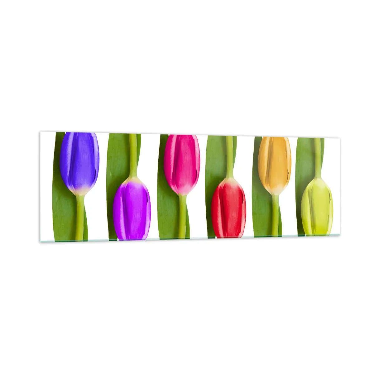 Schilderen op glas - Regenboog compositie - 160x50 cm