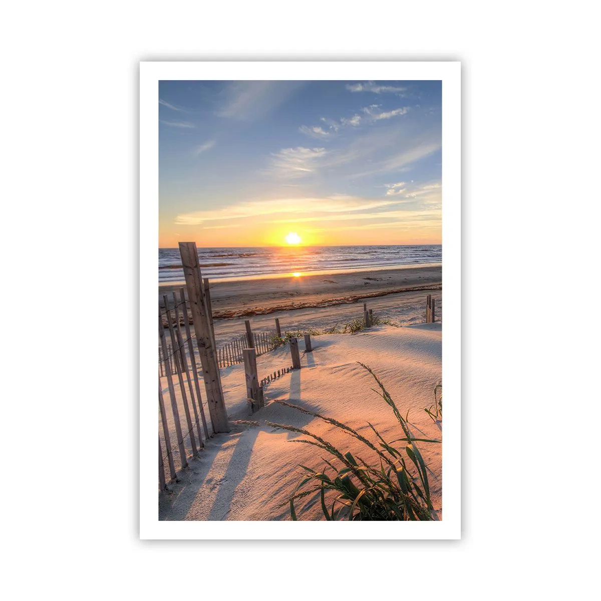 Poster - Glans en schaduw van de wind - 61x91 cm